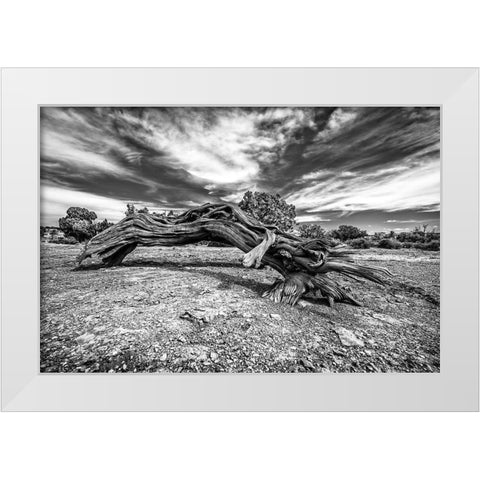 Bw Wood White Modern Wood Framed Art Print by Kostka, Vladimir