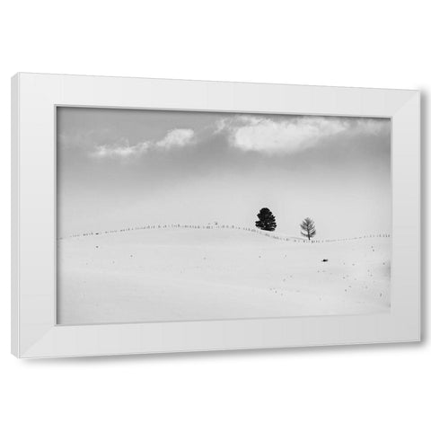 Lonely Trees White Modern Wood Framed Art Print by Kostka, Vladimir