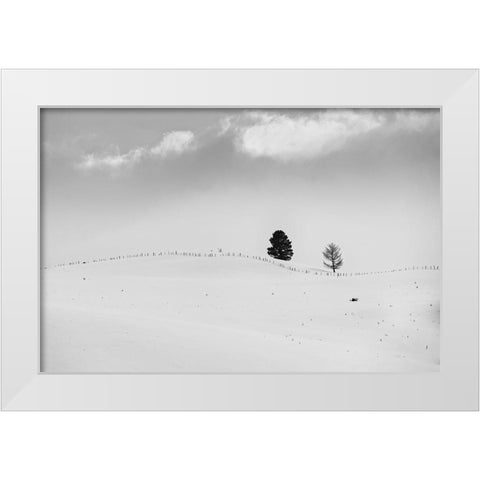 Lonely Trees White Modern Wood Framed Art Print by Kostka, Vladimir