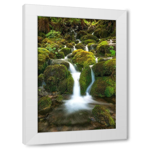 Waterfall I White Modern Wood Framed Art Print by Kostka, Vladimir