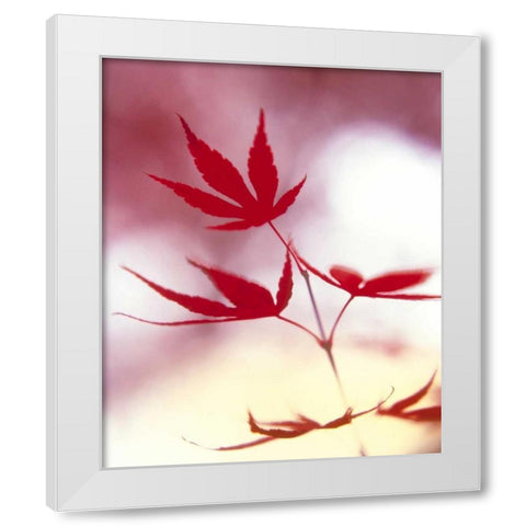 Arrangement Of The Leaves II White Modern Wood Framed Art Print by Weissing, Gerd