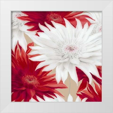 Elation II White Modern Wood Framed Art Print by Scaffardi, Sally