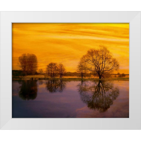 Afterglow II White Modern Wood Framed Art Print by Weissing, Gerd