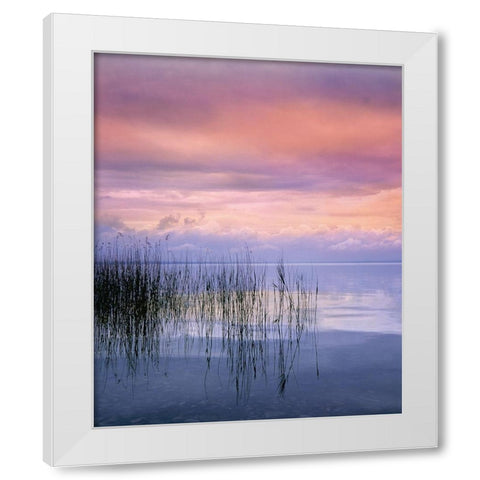 SETTING SUN I White Modern Wood Framed Art Print by Weissing, Gerd