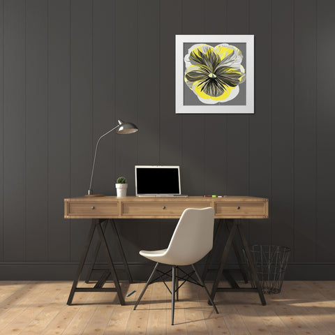 Pansies I White Modern Wood Framed Art Print by Scaffardi, Sally
