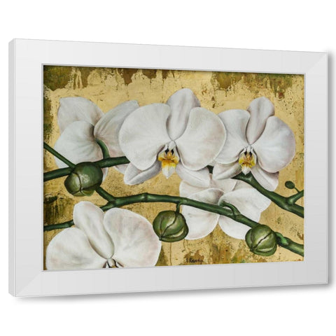 Flowers I White Modern Wood Framed Art Print by Sedalia, David