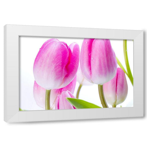 Pink I White Modern Wood Framed Art Print by Warminski