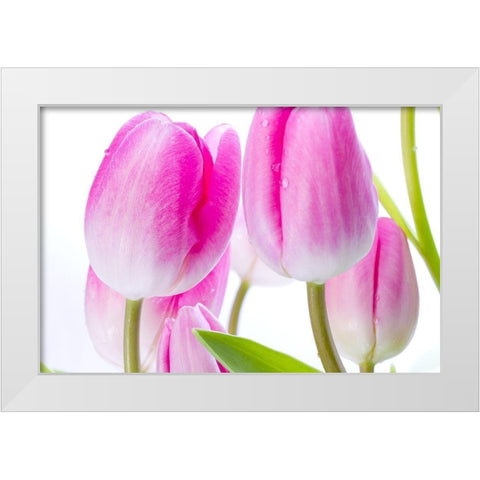 Pink I White Modern Wood Framed Art Print by Warminski