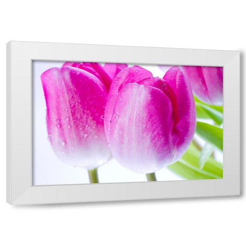 Pink II White Modern Wood Framed Art Print by Warminski