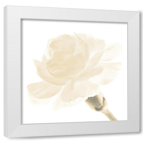 CARNATION I White Modern Wood Framed Art Print by Fossey, George