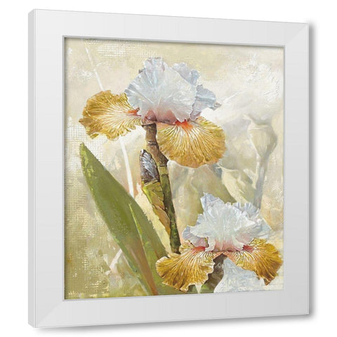 VANILLA IRIS II White Modern Wood Framed Art Print by Sestillo, Enrico