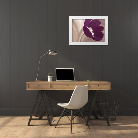 Velvet Poppy White Modern Wood Framed Art Print by Lake, Kaye