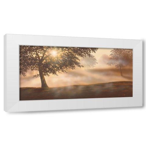 RURAL STUDY I White Modern Wood Framed Art Print by Walsh, Peter