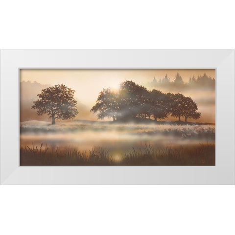 RURAL STUDY II White Modern Wood Framed Art Print by Walsh, Peter