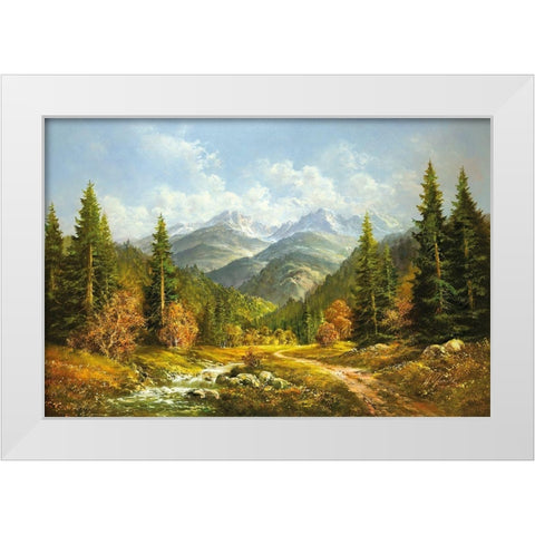 BROOK IN THE MOUNTAINS White Modern Wood Framed Art Print by Glassl, Helmut