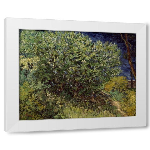 Lilac Bush, 1889 White Modern Wood Framed Art Print by Van Gogh, Vincent
