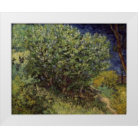 Lilac Bush, 1889 White Modern Wood Framed Art Print by Van Gogh, Vincent