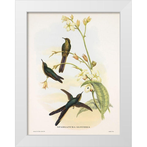 Sparganura Glyceria White Modern Wood Framed Art Print by Ashley, Aaron