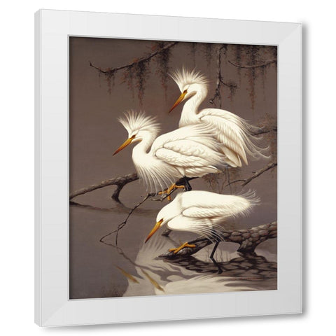 Snowy Egrets White Modern Wood Framed Art Print by Robertson,