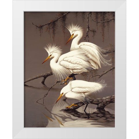 Snowy Egrets White Modern Wood Framed Art Print by Robertson,