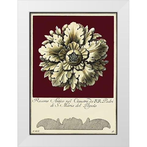 Rosone Antico II White Modern Wood Framed Art Print by Guerra