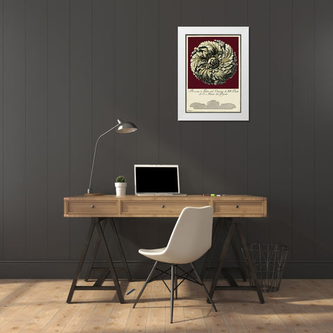 Rosone Antico IV White Modern Wood Framed Art Print by Guerra