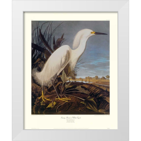 Snowy Heron Or White Egret (decorative border) White Modern Wood Framed Art Print by Audubon, John James