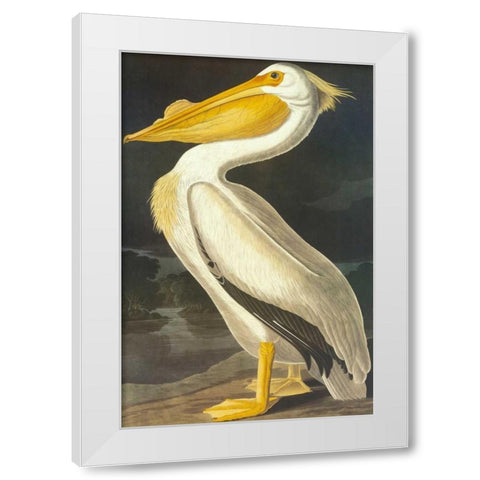 American White Pelican White Modern Wood Framed Art Print by Audubon, John James