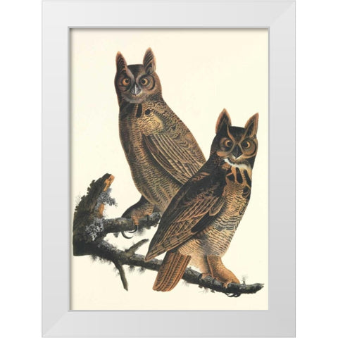 Great Horned Owl White Modern Wood Framed Art Print by Audubon, John James