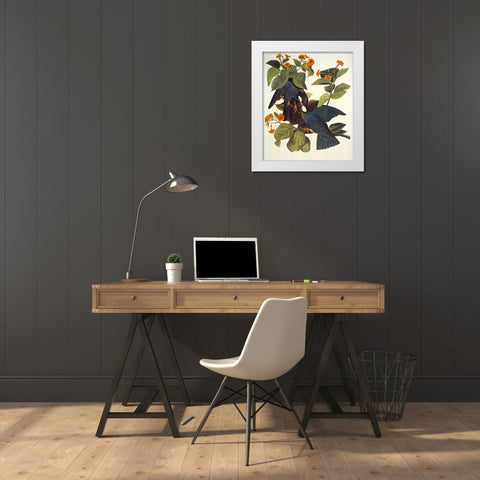 White-Crowned Pigeon White Modern Wood Framed Art Print by Audubon, John James