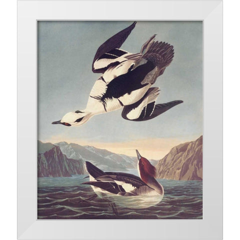Smew Or White Nun White Modern Wood Framed Art Print by Audubon, John James