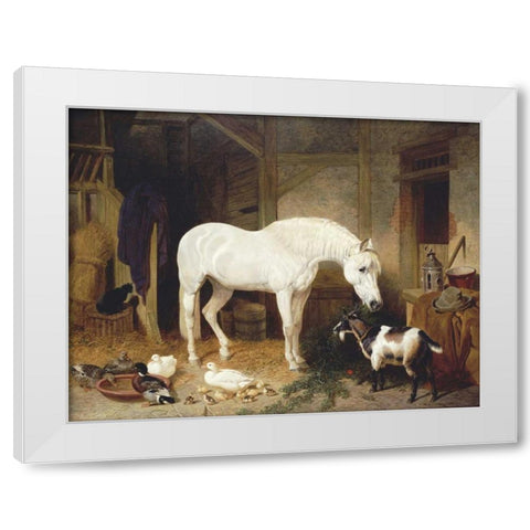 Stable Companions White Modern Wood Framed Art Print by Herring, John Frederick