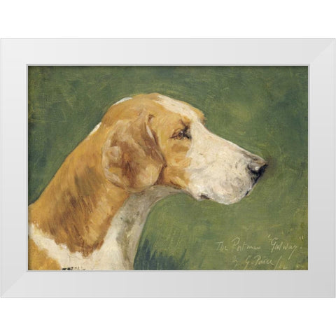 The Portman Galway White Modern Wood Framed Art Print by Paice, George