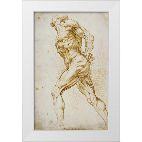 Anatomical Study: Nude Male White Modern Wood Framed Art Print by Reubens, Peter Paul