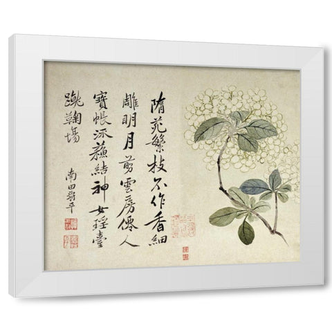 Hydrangeas White Modern Wood Framed Art Print by Shouping, Yun