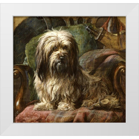 A Dandy Dinmont White Modern Wood Framed Art Print by Steel, Gourlay