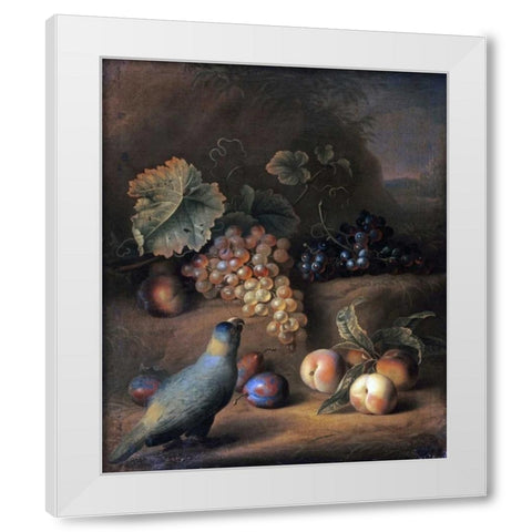 A Parrot With Grapes, Peaches and Plums In a Landscape White Modern Wood Framed Art Print by Stranover, Tobias