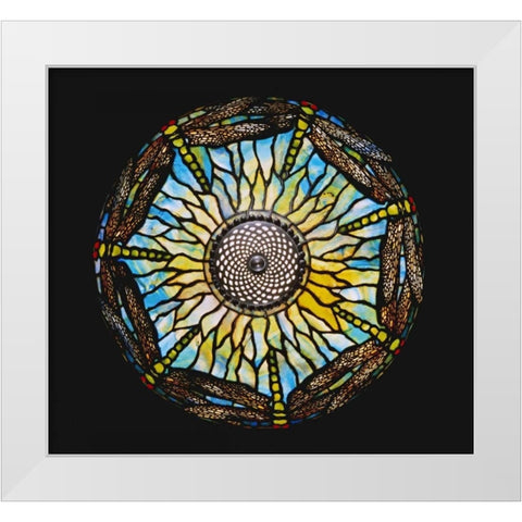 A Detail From a Rare Dragonfly White Modern Wood Framed Art Print by Tiffany Studios