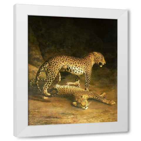 Two Leopards Lying In The Exeter Exchange White Modern Wood Framed Art Print by Agasse, Jacques-Laurent