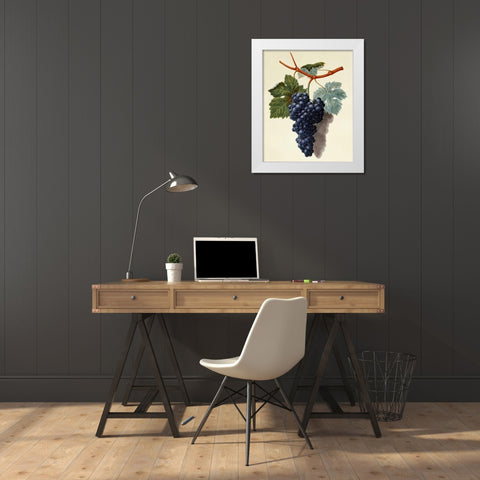 Black Muscadine Grapes White Modern Wood Framed Art Print by Brookshaw, George