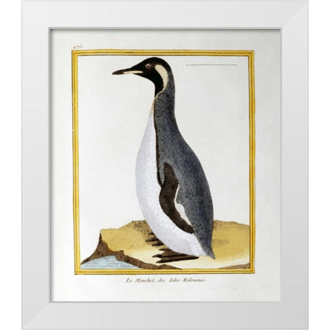 A Penguin, Falkland Islands White Modern Wood Framed Art Print by Buffon, Georges-Louis Leclerc