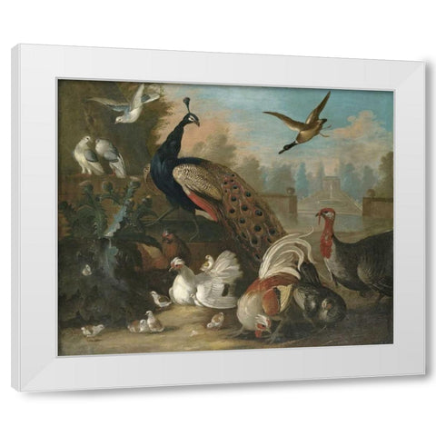 A Peacock and Other Birds White Modern Wood Framed Art Print by Craddock, Marmaduke