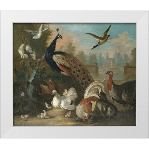 A Peacock and Other Birds White Modern Wood Framed Art Print by Craddock, Marmaduke