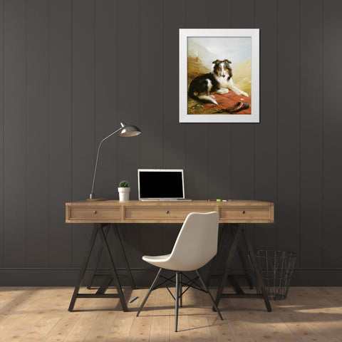 A Collie, The Guardian of The Flock White Modern Wood Framed Art Print by Douglas, Edwin