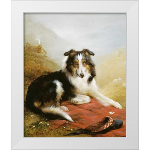 A Collie, The Guardian of The Flock White Modern Wood Framed Art Print by Douglas, Edwin