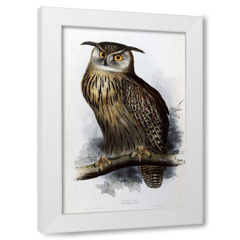 Eagle Owl White Modern Wood Framed Art Print by Glover, John