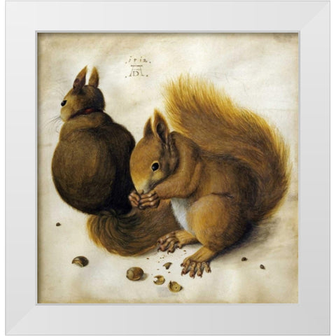 Two Squirrels, One Eating a Hazelnut White Modern Wood Framed Art Print by Durer, Albrecht