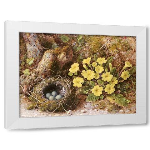 Still Life With a Birds Nest White Modern Wood Framed Art Print by Hough, William B.