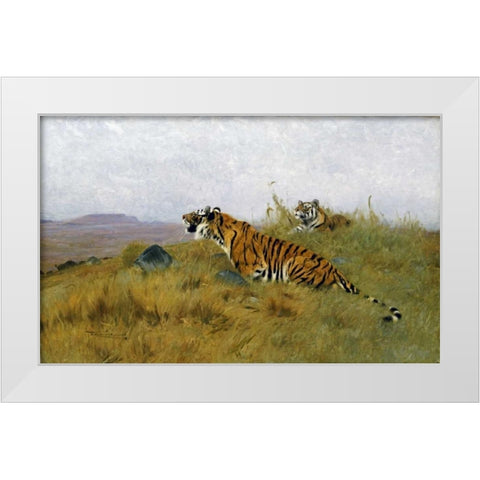 Tigers Stalking Their Prey White Modern Wood Framed Art Print by Kuhnert, Wilhelm
