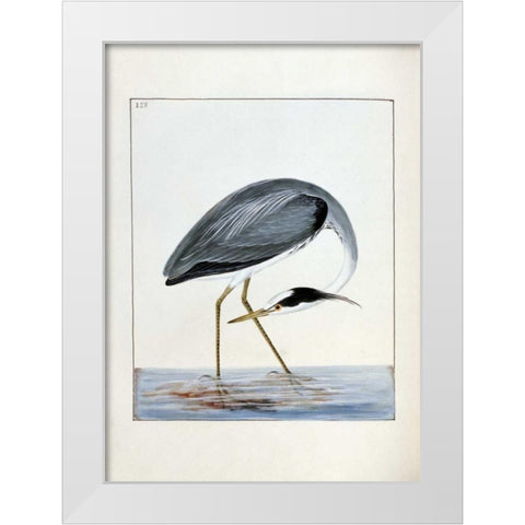 Heron White Modern Wood Framed Art Print by Lewin, William